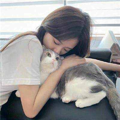 新忠烈图